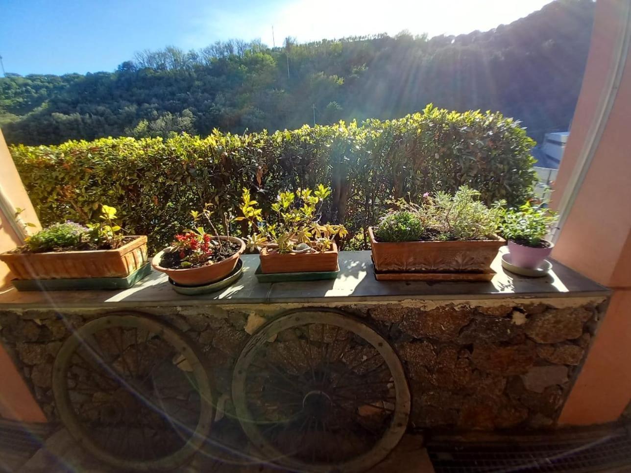 Agriturismo Cele Celle Ligure Exterior foto