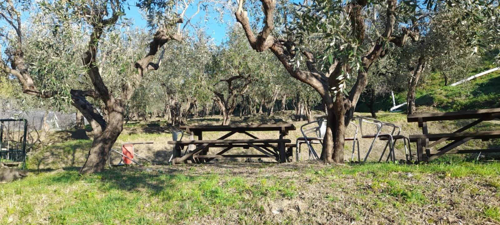 Agriturismo Cele Celle Ligure Exterior foto